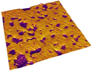 锂电池电极的原子力显微镜图像