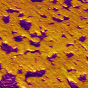 锂电池电极的原子力显微镜图像