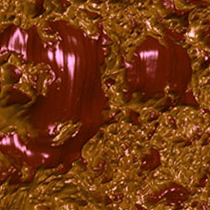 用原子力显微镜对巧克力成像