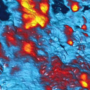 用原子力显微镜拍摄的碳填充聚合物混合物的表面电位图像