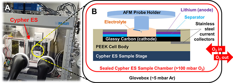 在手套箱中用Cypher ES原子力显微镜测试锂电池