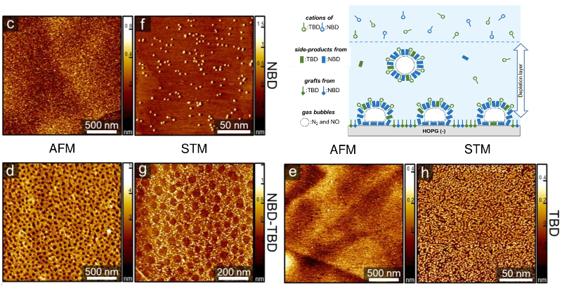 纯NBD、纯TBD和1:1 NBD-TBD混合物接枝后HOPG表面的AFM和STM图像;提出的纳米珊瑚形成过程示意图。