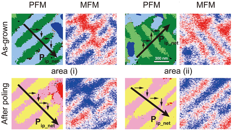 BFCO薄膜上两个不同位置的总PFM响应和MFM相位图像：（顶部）在生长薄膜上和（底部）极化后。