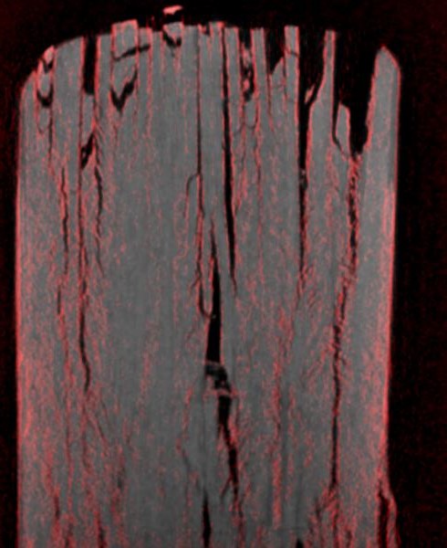相位（灰色频道）和暗场（红色频道）图像的组合