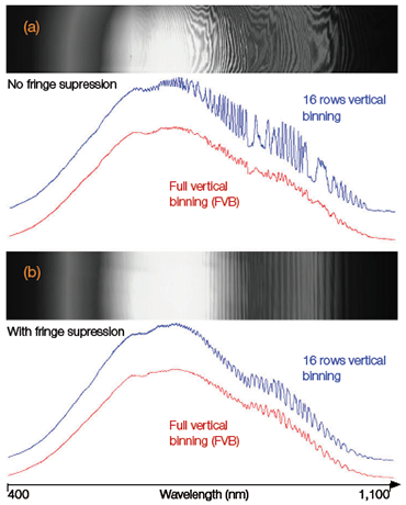 宽带钨源的FVB光谱和16排高折叠轨道光谱是由一个“标准”背光CCD和一个带有“条纹抑制”的背光CCD连接到三叶草750光谱仪获得的