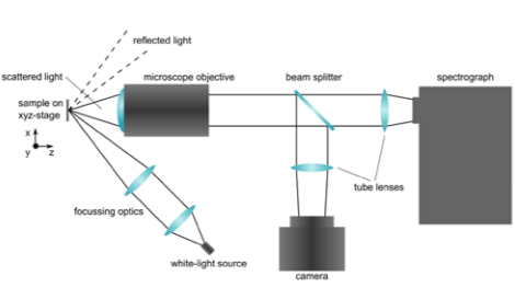 图1:用于自动记录单个纳米结构暗场光谱的装置原理图。