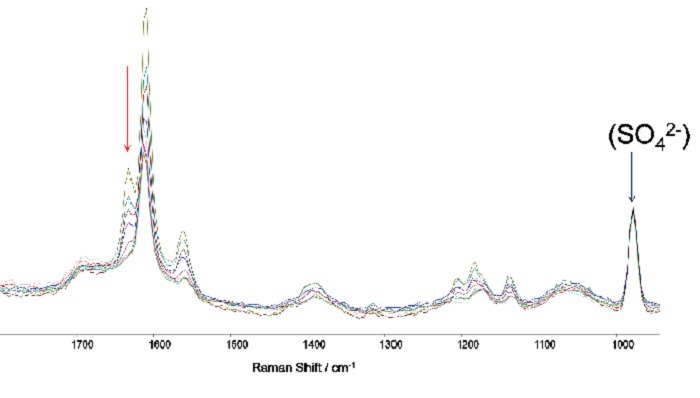 一系列捕获的拉曼光谱，说明了1631cm-1的特征强度的变化如何通过时间促进对反应过程的监测