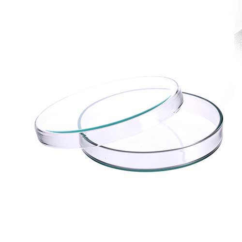 派热克斯玻璃培养皿- 55毫米直径的产品照片