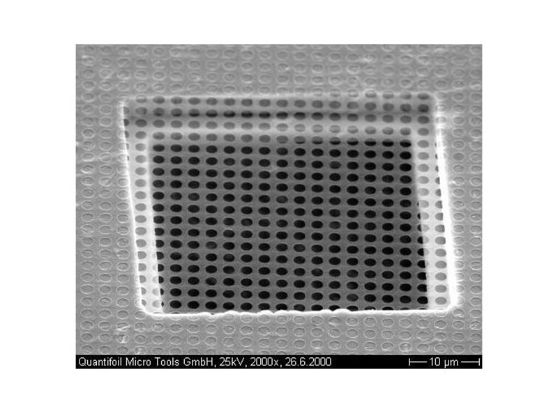 Quantifoil 1.2um直径(1.3um) 300目铜(包100)产品照片前视图L