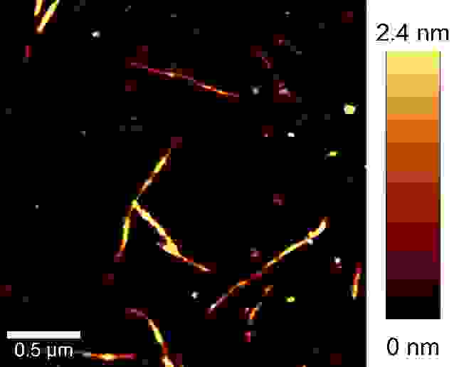 碳纳米管的AFM图像。