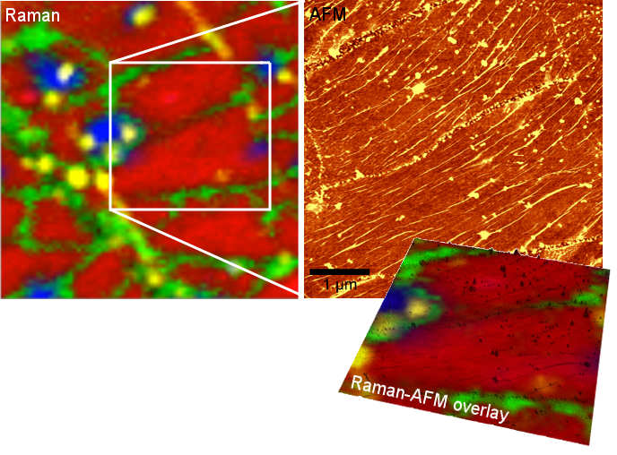 皱纹的CVD石墨烯层上同一样品区域的拉曼和AFM图像。